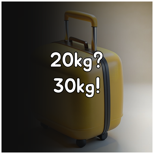 홍콩항공 이코노미 수하물 20kg부터..