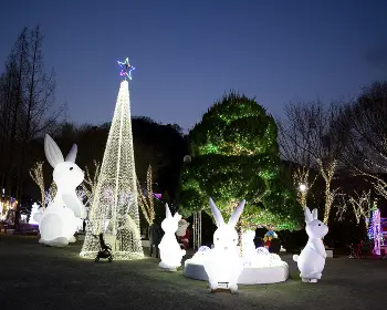 청도 프로방스 빛축제_27