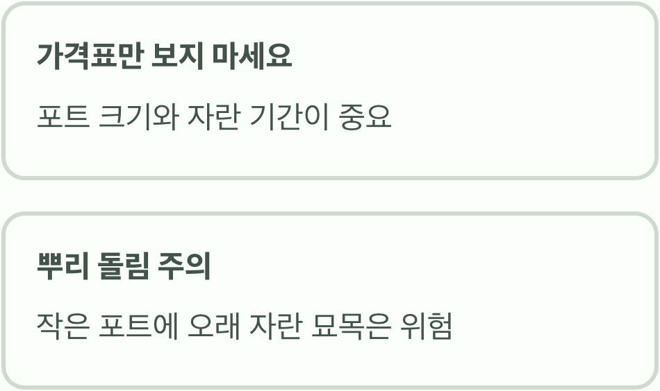 1. 가격표의 함정&amp;#44; 포트 크기를 보라
