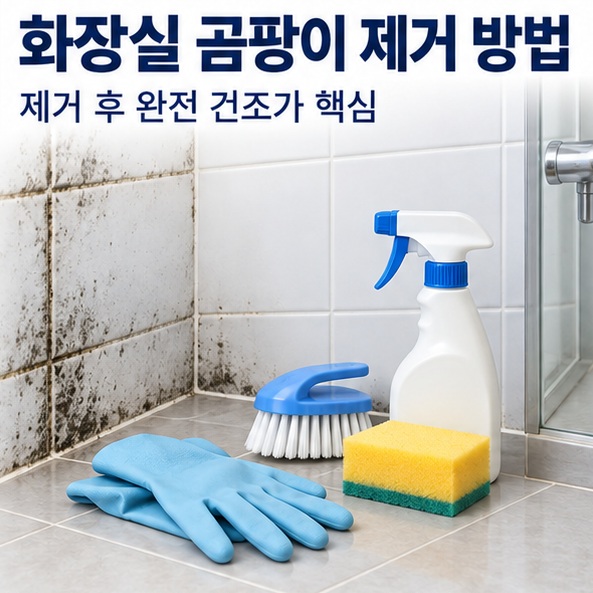 화장실 곰팡이 제거 방법과 타일 줄눈 실리콘을 청소하는 순서를 보여주는 생활 위생 이미지