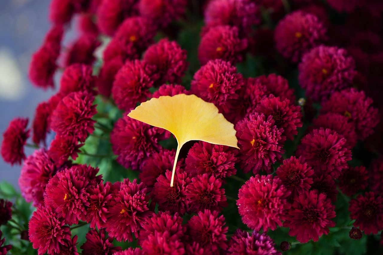 소득세 과표구간