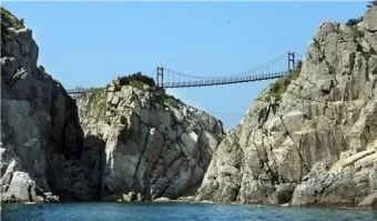 통영 연화도 수국 꽃길 산책 코스와 최적 관람 시기_6