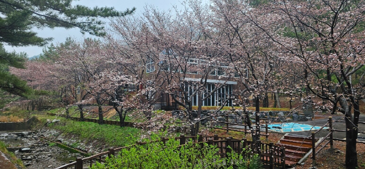 희리산 자연휴양림