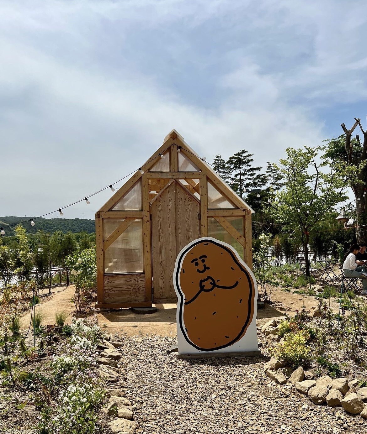 춘천 감자밭 감자빵