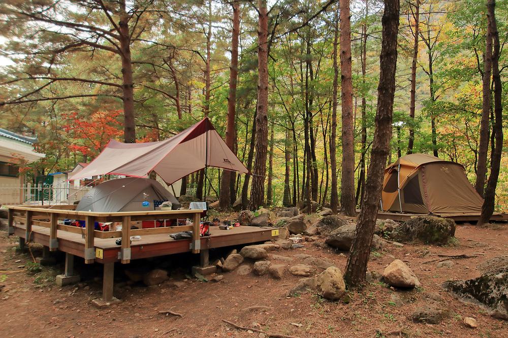 동해시 무릉계곡힐링캠핑장 소개