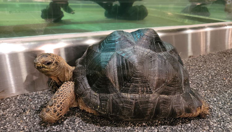 가평 신비동물원