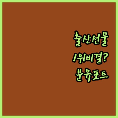 출산 선물 1위 휴대용 분유포트 추천..