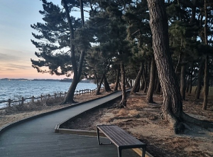 차박하기 좋은 곳