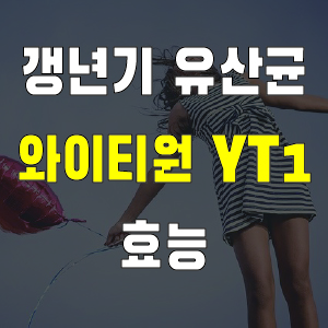 갱년기 유산균 YT1 와이티원 효능