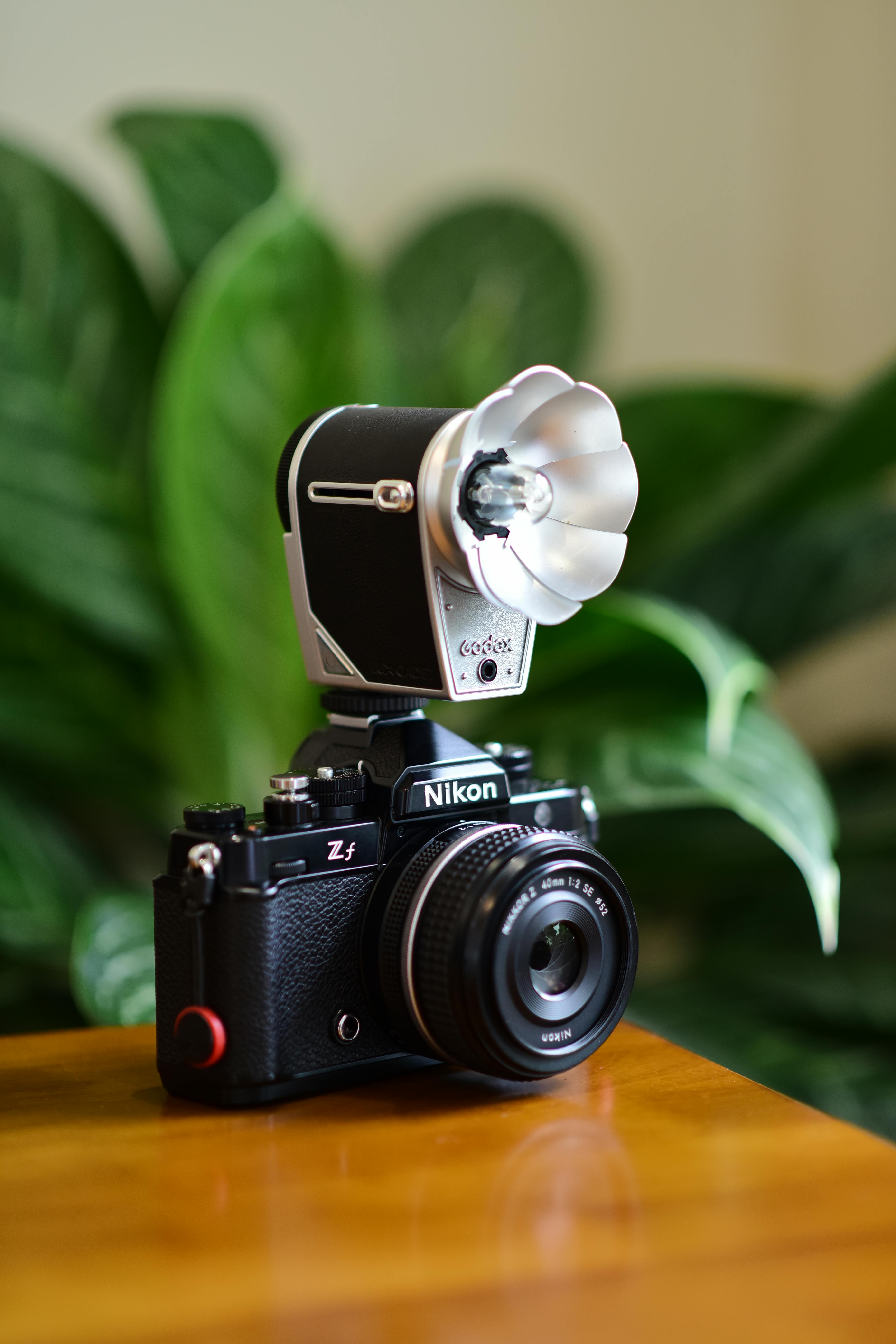 스마트스토어 판매자 필독|발송 지연 패널티·배송 지연 보상·부당행위 이용 정지까지 한 번에