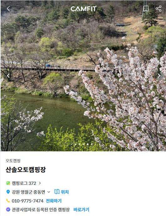 벚꽃 캠핑장 영월 산솔오토캠핑장