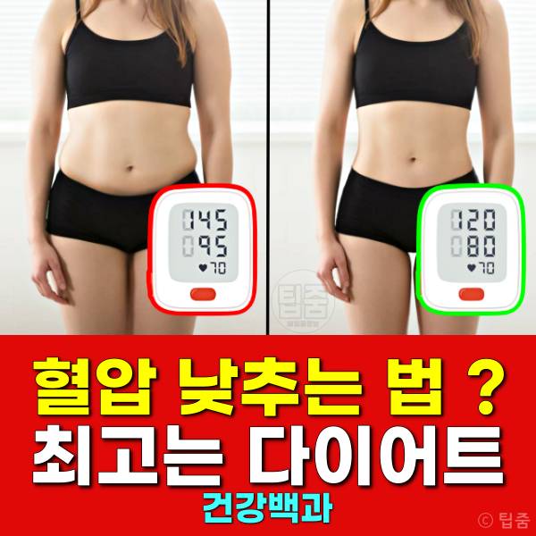 혈압 낮추는 법 다이어트 비만 고혈압 상관관계