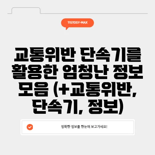 교통위반 단속기를 활용한 엄청난 정보 모음 (+교통위반, 단속기, 정보)