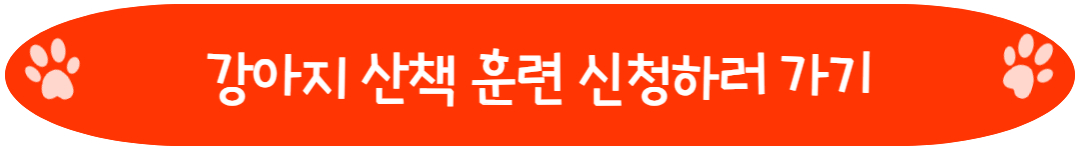강아지 산책 훈련 신청하러 가기