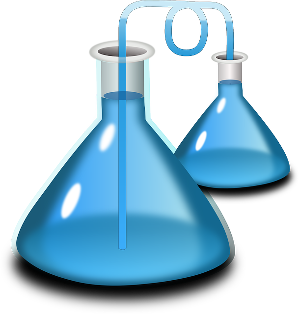 증발 접시를 활용한 용액 농축 실험