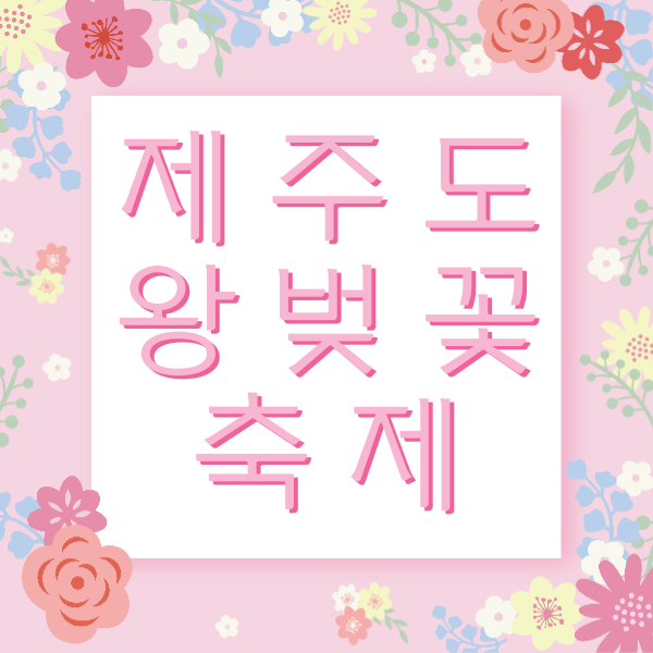 제주도왕벚꽃축제