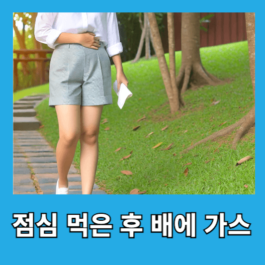 점심을 먹은 후 배 가스