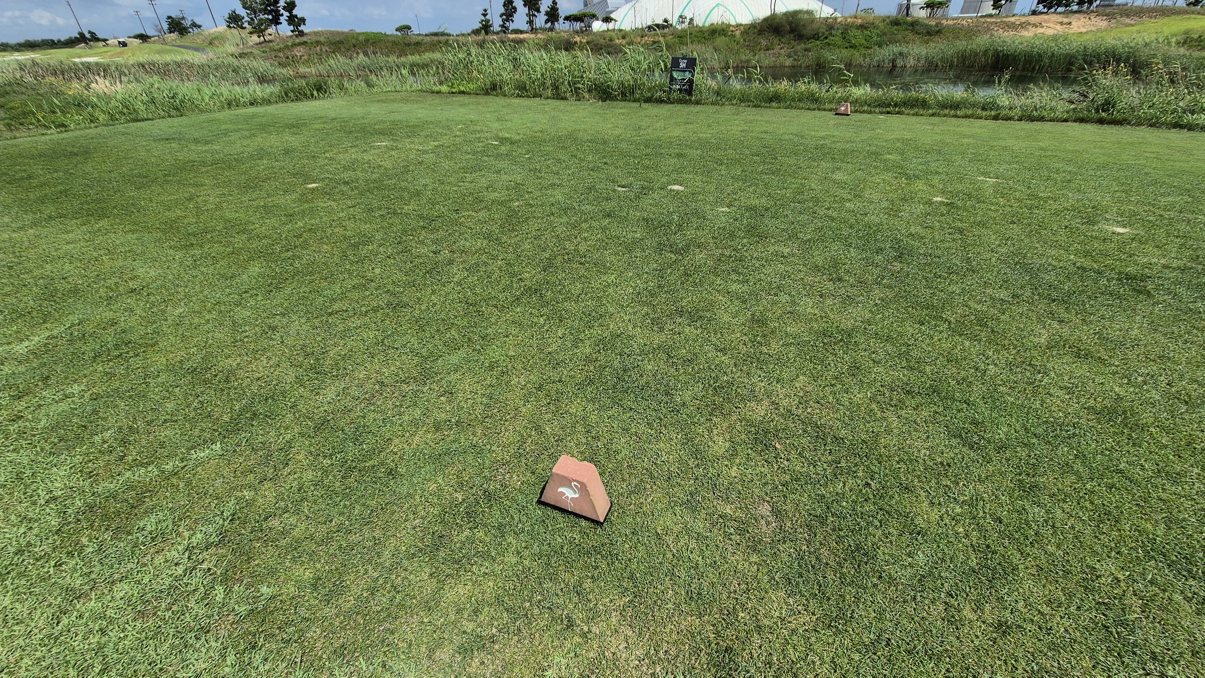 플라밍고cc 듄스-링크스 코스 라운드 후기