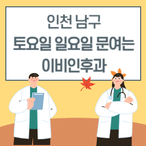 인천 남구 토요일 일요일 이비인후과 진료 병원 리스트