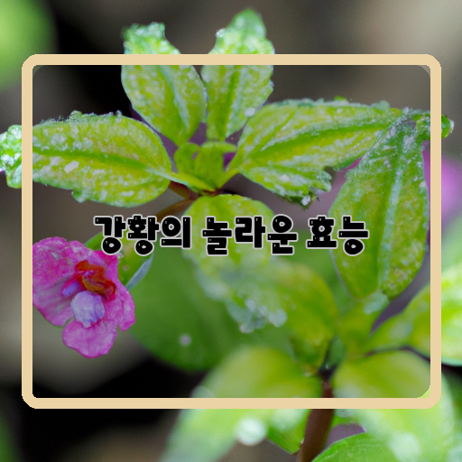 강황-건강-아름다움