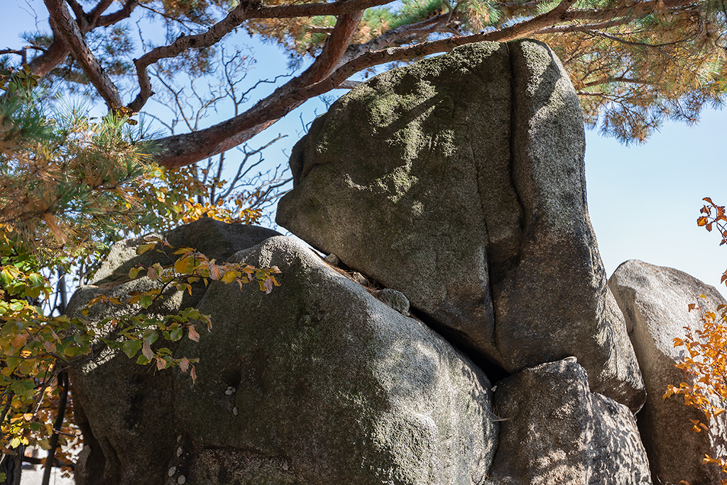 한양도성길
가을풍경
가을단풍
백악구간
서울여행
서울풍경
서울성곽길
청운대
말바위
숙정문