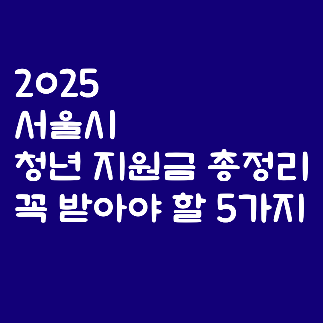 2025 서울시 청년 지원금 총정리