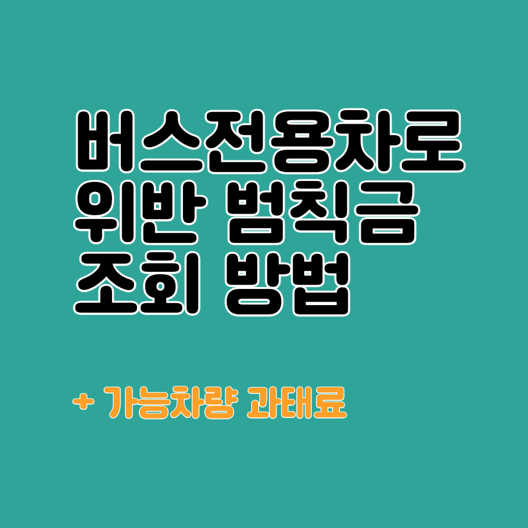 버스전용차로 위반 범칙금