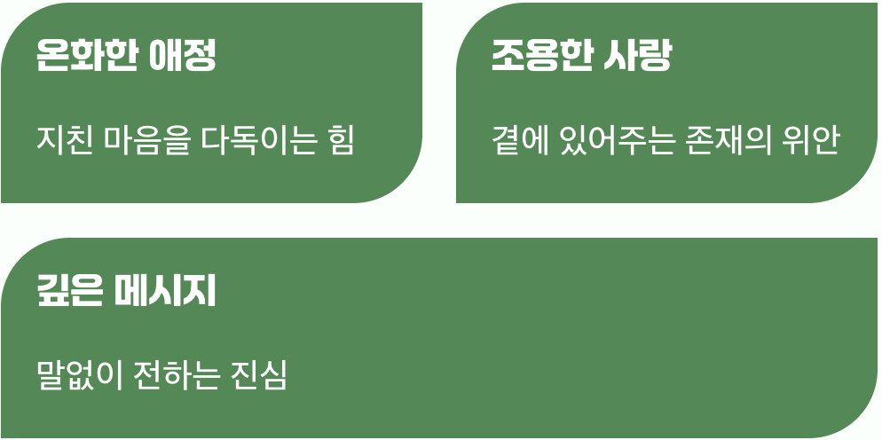 따뜻한 위로를 건네는 꽃