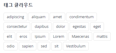 태그 클라우드 PHP 코드 편집 후 사진