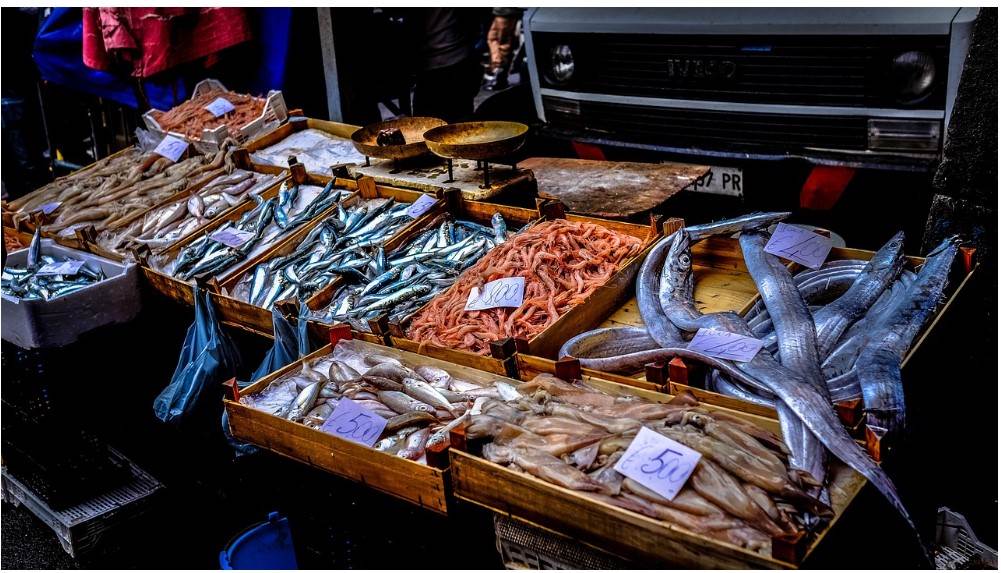 동두천시 디지털온누리상품권 사용처 총정리|상생페이백