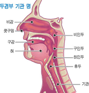 목이 붓거나 두꺼워지는 경우