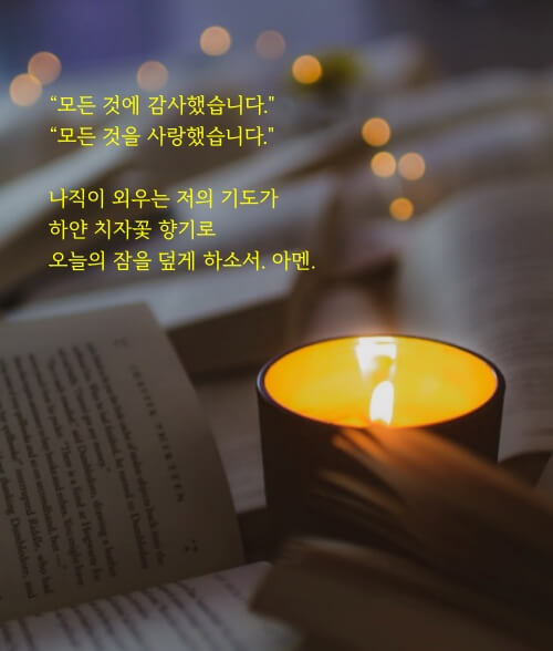 시 일부가 들어간 이미지