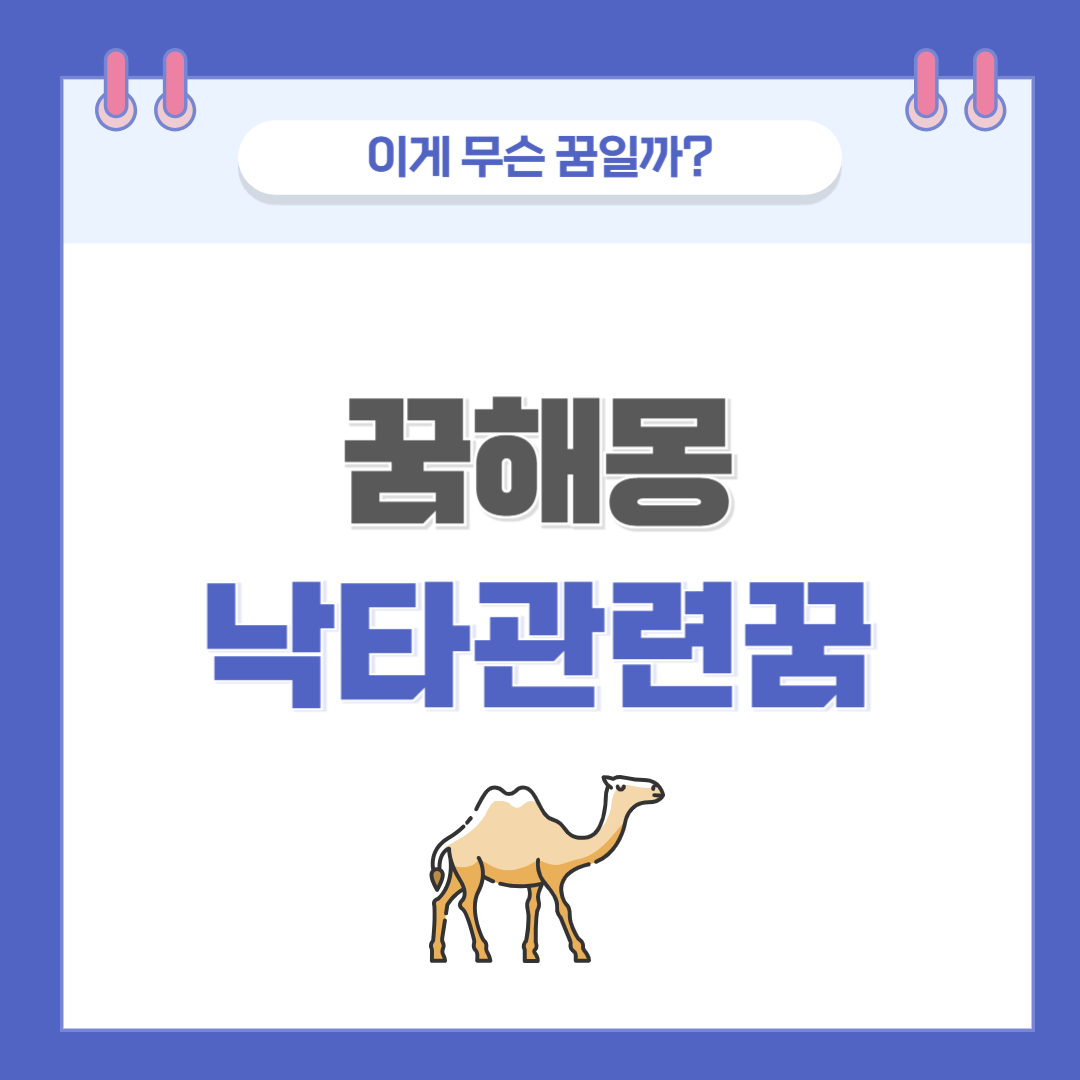 [꿈해몽] 낙타 나오는 꿈 의미와 해석