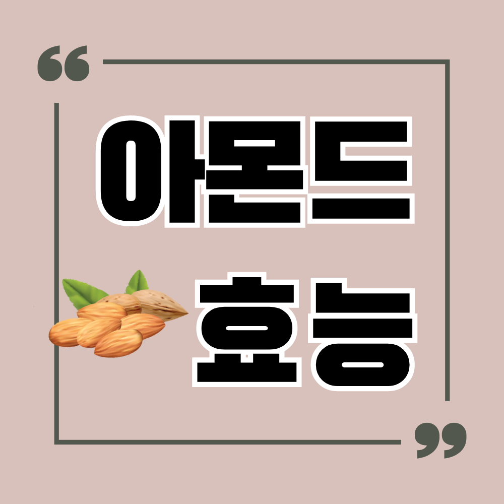 아몬드 효능 11가지
