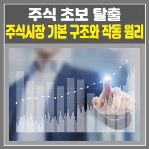 [주식 초보 탈출] 주식시장 기본 구조와 작동 원리