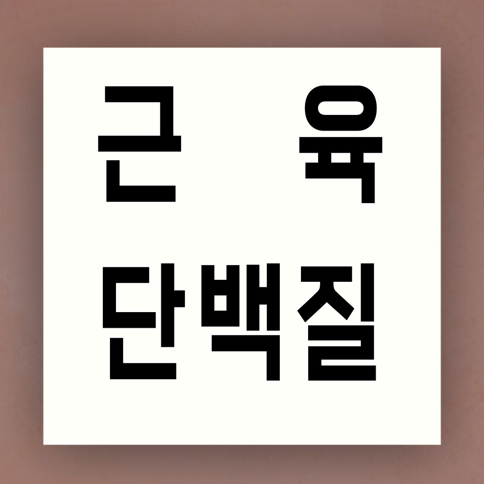 근육 늘리는 식단 카드뉴스