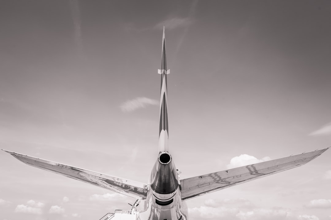 Tail