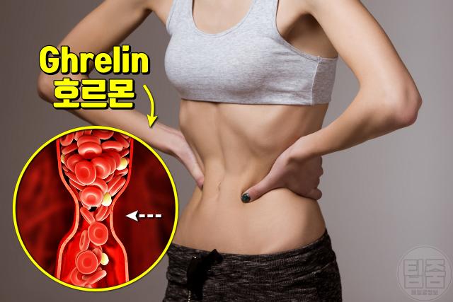 편두통 원인 해결 공복 혈당 호르몬