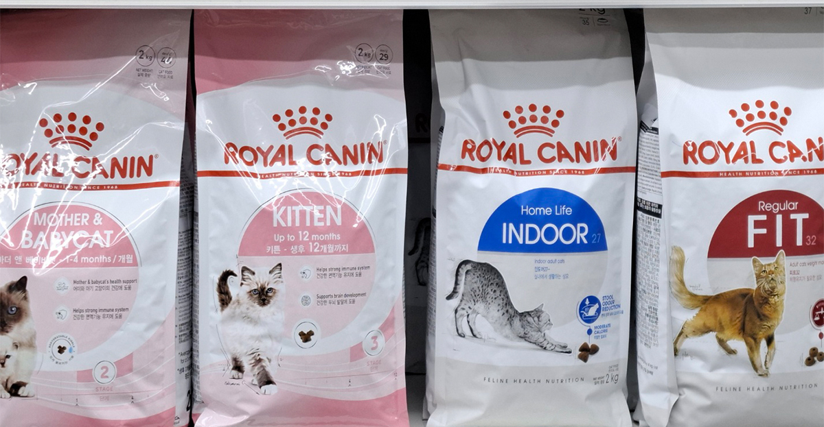 ROYAL CANIN 고양이 사료 진열.
