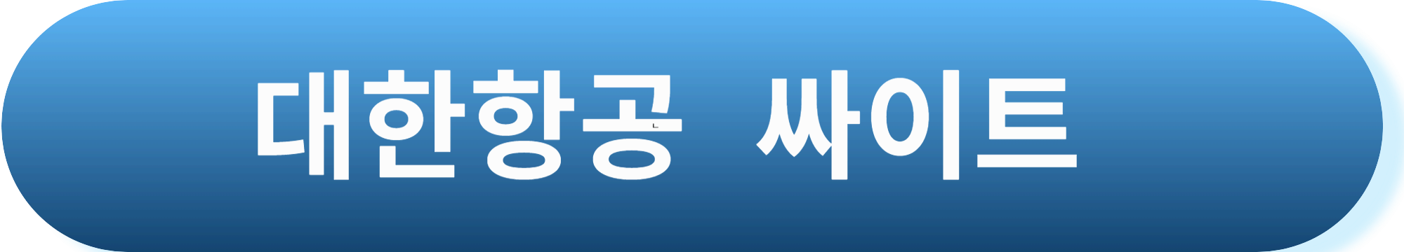 비행기 기내반입 물품 및 위탁수하물 규정 정리
