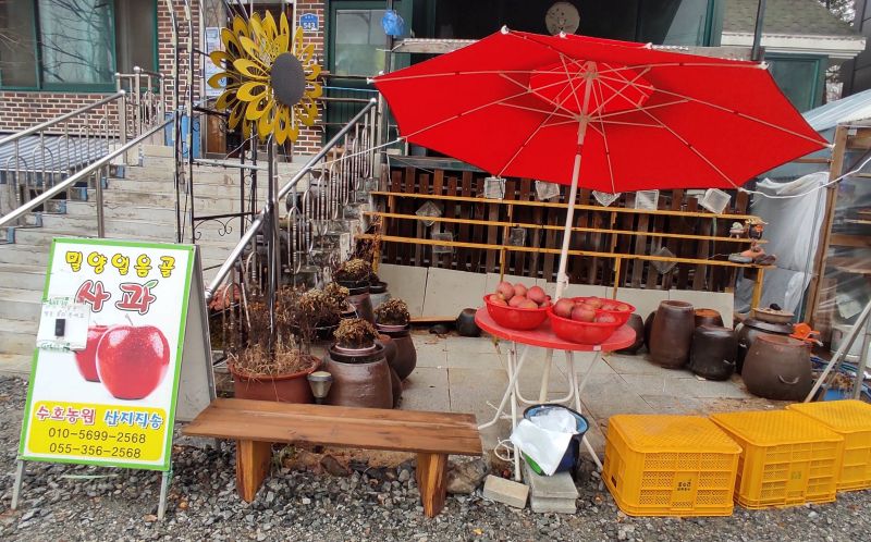 맛있는 사과를 파는 공간