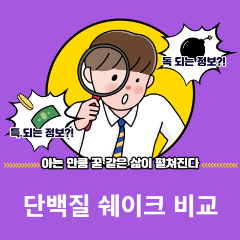 단백질 쉐이크 비교