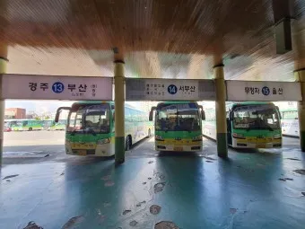 포항 시외버스터미널 시간표 예매 요금_19