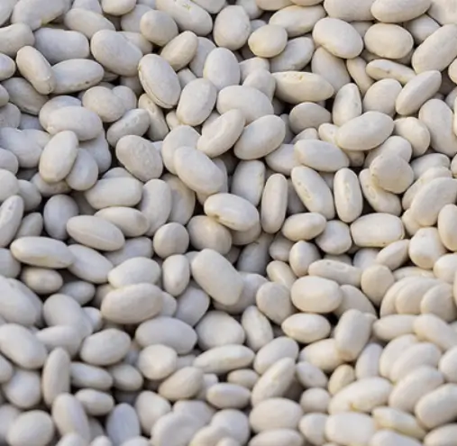 탄수화물 흡수 억제제