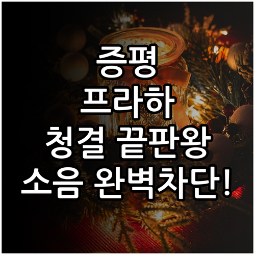 증평 프라하모텔 객실 청결 상태와 소..