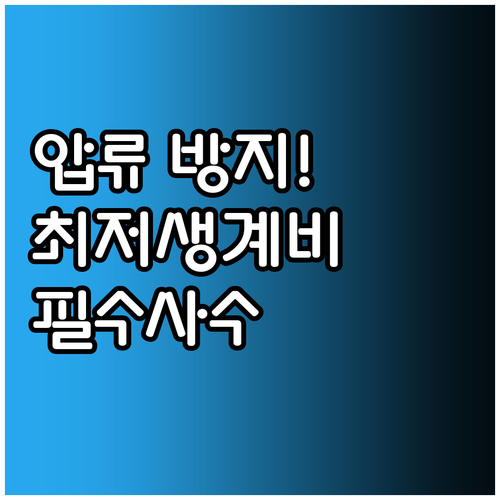 압류 금지 최저 생계비 계좌 활용법 ..