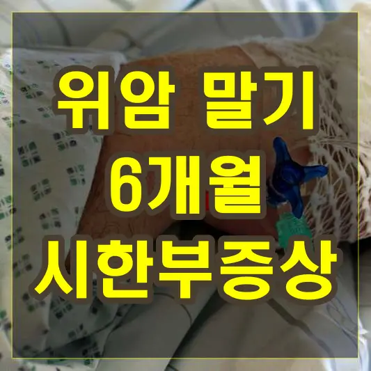 위암 말기 6개월 시한부증상