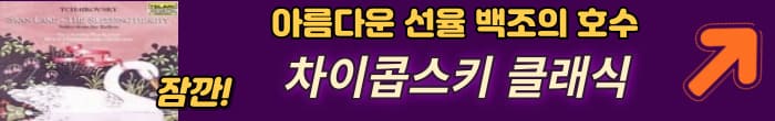 백조의 호수 클래식