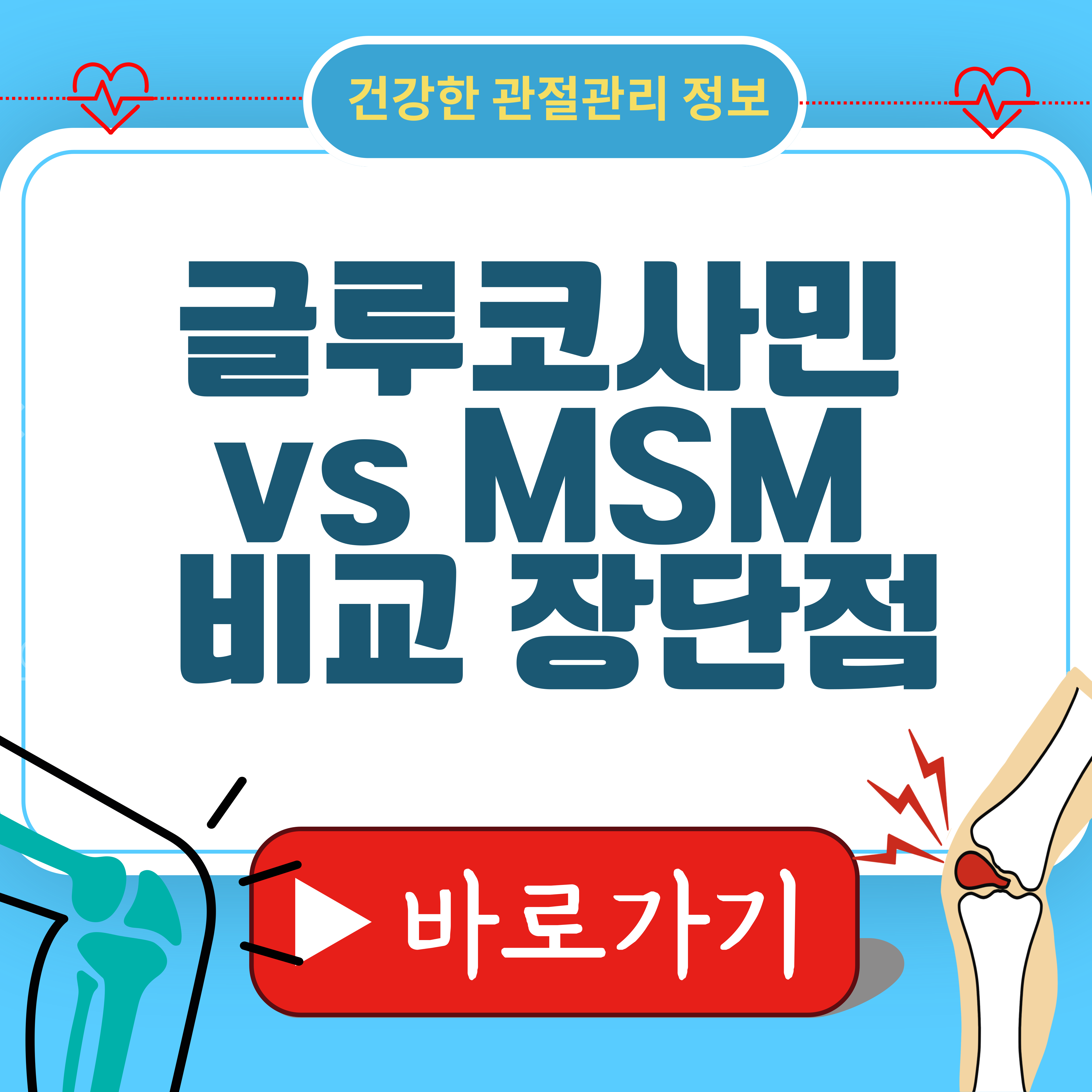 무릎 관절염 영양제 글루코사민 vs MSM 비교 장단점