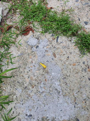 시멘트 길 위 잡초와 노란 플라스틱